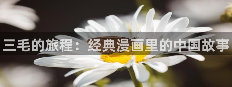 拷贝漫画推荐软件：三毛的旅程：经典漫画里的中国故事