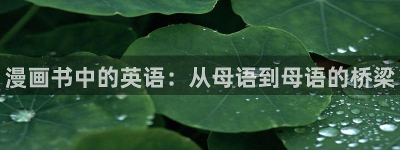 拷贝漫画(官网)2.3.0：漫画书中的英语：从母语到母语的桥梁
