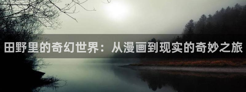 拷贝漫画(网页入口)：田野里的奇幻世界：从漫画到现实的奇妙之旅
