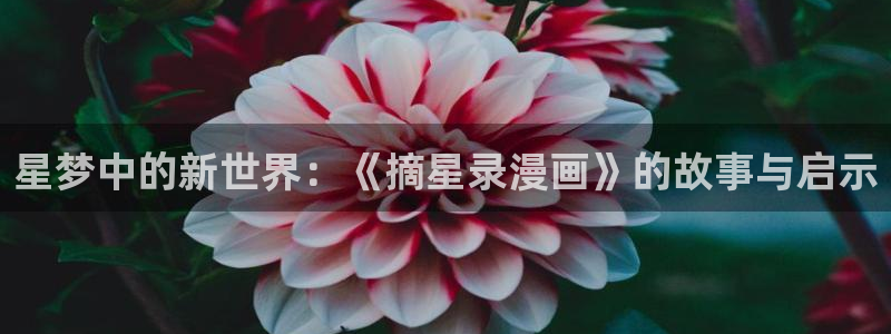 蓝狐盒子怎么看拷贝漫画：星梦中的新世界：《摘星录漫画》的故事与启示